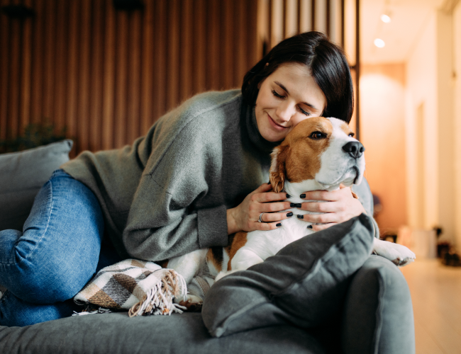 Carrossel de imagem 3